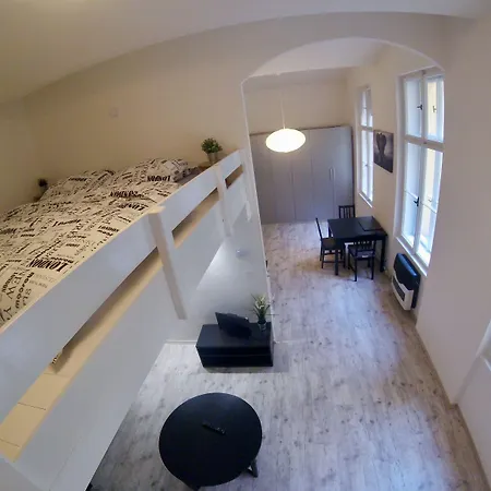 Hybernska Apartment *